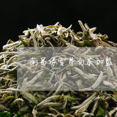 南昌绿雪芽白茶加盟/2023121720461
