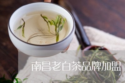 南昌老白茶品牌加盟/2023071591592