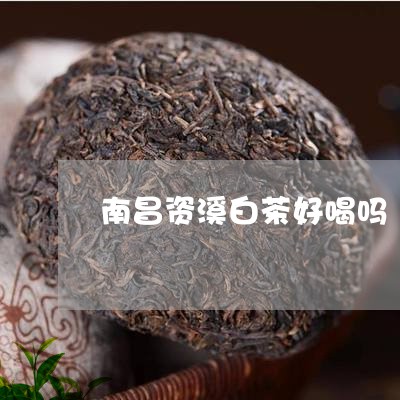 南昌资溪白茶好喝吗/2023121749583