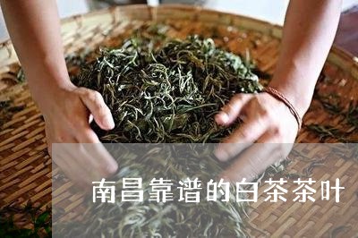 南昌靠谱的白茶茶叶/2023071566158