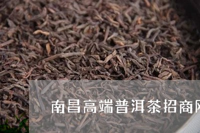 南昌高端普洱茶招商网/2023061442838