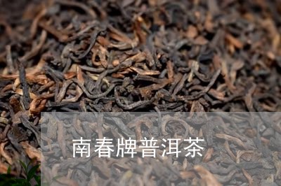 南春牌普洱茶/2023042917958