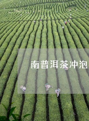 南普洱茶冲泡方法/2023082920592