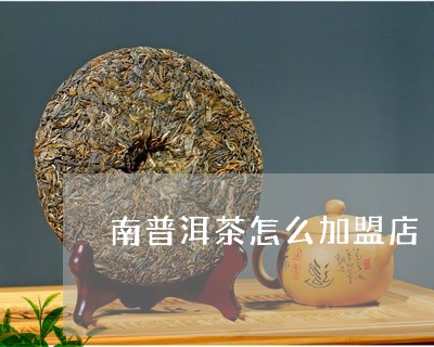 南普洱茶怎么加盟店/2023061400404