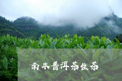 南本普洱茶生茶/2023081875158