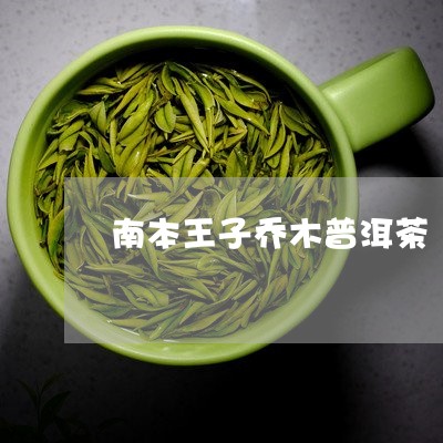 南本王子乔木普洱茶/2023080191602