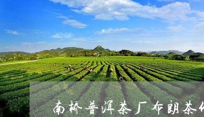 南桥普洱茶厂布朗茶价格/2023103123737