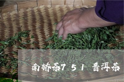 南桥茶751普洱茶/2023091474925