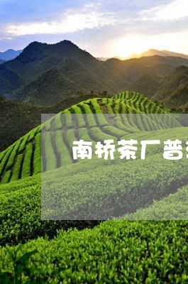 南桥茶厂普洱茶直播间/2023120698692