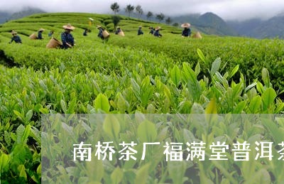 南桥茶厂福满堂普洱茶/2023120632514