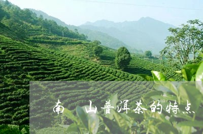 南檽山普洱茶的特点/2023120631481