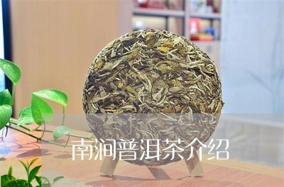 南涧普洱茶介绍/2023112676240