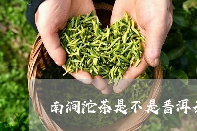 南涧沱茶是不是普洱茶/2023100575048