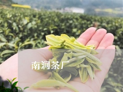 南涧茶厂/2023090153918