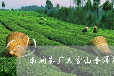 南涧茶厂大雪山普洱茶/2023092994148