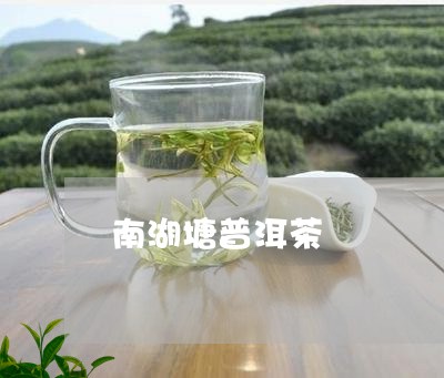 南湖塘普洱茶/2023042611028