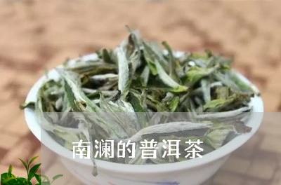 南澜的普洱茶/2023042588197