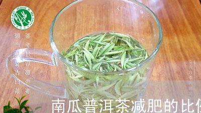 南瓜普洱茶减肥的比例/2023080108373