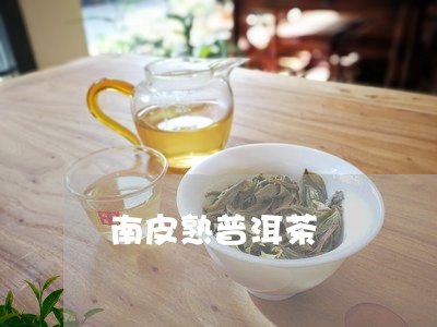 南皮熟普洱茶/2023042727267