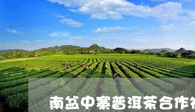 南盆中寨普洱茶合作社/2023092617170