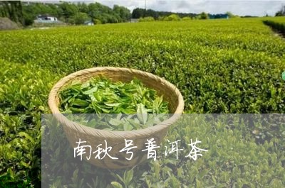 南秋号普洱茶/2023090615039