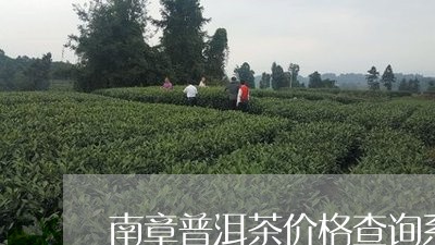 南章普洱茶价格查询系统/2023121522825