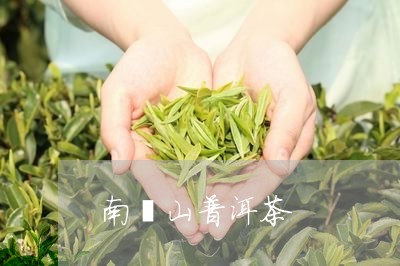 南糥山普洱茶/2023042591040