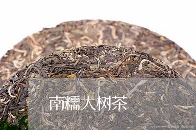 南糯大树茶/2023090218471