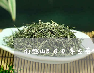 南糯山800年古茶树/2023071566147