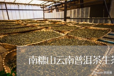 南糯山云南普洱茶生茶200g/2023110257250