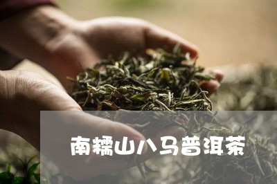 南糯山八马普洱茶/2023110556170