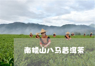 南糯山八马普洱茶/2023121552695