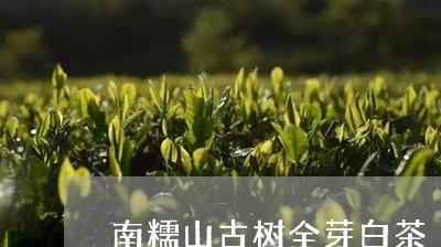 南糯山古树全芽白茶/2023071505057