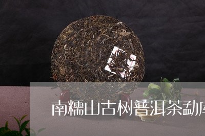 南糯山古树普洱茶勐库东半山普洱茶/2023060363036