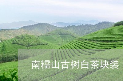 南糯山古树白茶块装/2023121768283