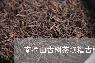 南糯山古树茶坝糯古树茶怎么样/2023053124360