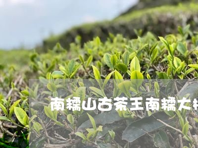 南糯山古茶王南糯大树茶多钱一公斤/2023060486958