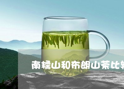 南糯山和布朗山茶比较/2023061024948