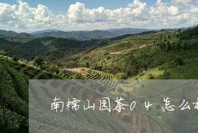 南糯山园茶04怎么样/2023092035938