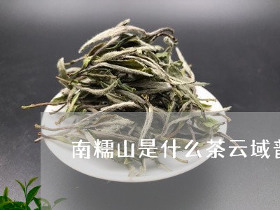 南糯山是什么茶云域普洱熟茶图片/2023060322719