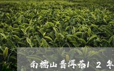 南糯山普洱茶12年/2023081617462