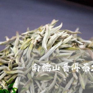 南糯山普洱茶20年/2023112721571