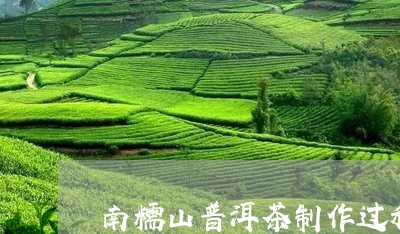 南糯山普洱茶制作过程/2023082982048