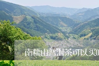 南糯山普洱茶可以买吗最新/2023110592817