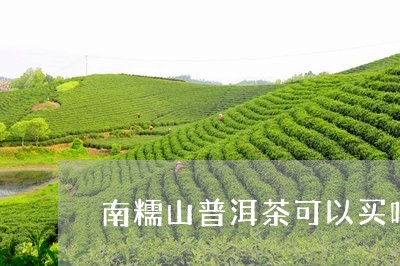 南糯山普洱茶可以买吗现在/2023110552926