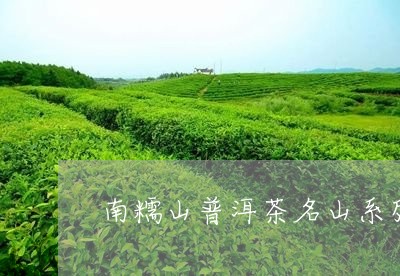 南糯山普洱茶名山系列/2023072353725