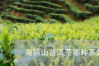 南糯山普洱茶哪种茶好/2023062236159