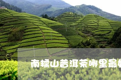 南糯山普洱茶哪里最好/2023062317360