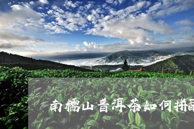 南糯山普洱茶如何拼配/2023061616248