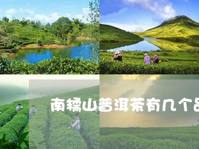 南糯山普洱茶有几个品种/2023121508371